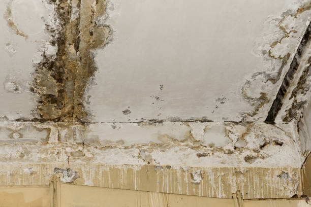 Water damage restoration experts in Box Elder, SD